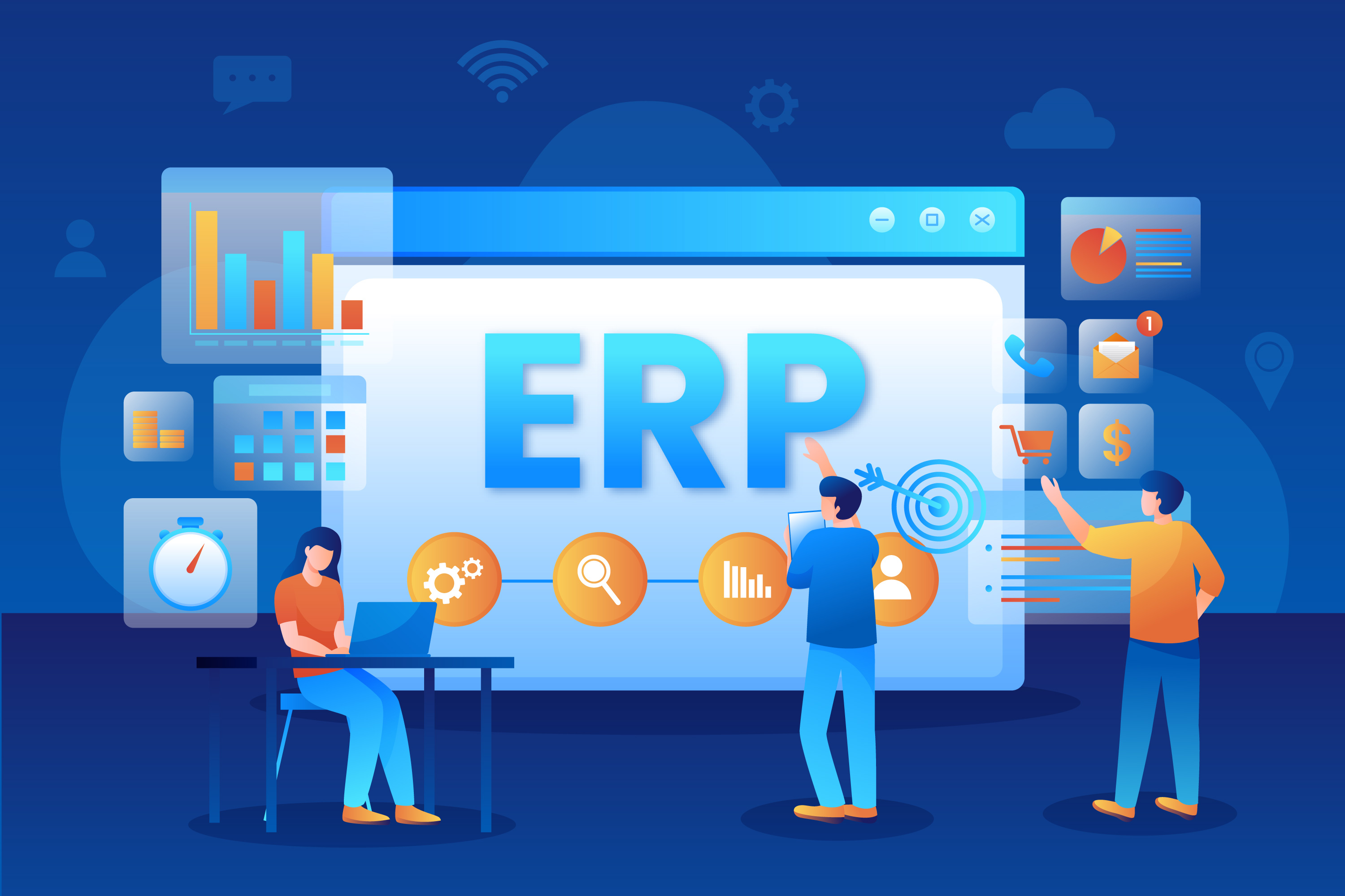 Customizable ERP System